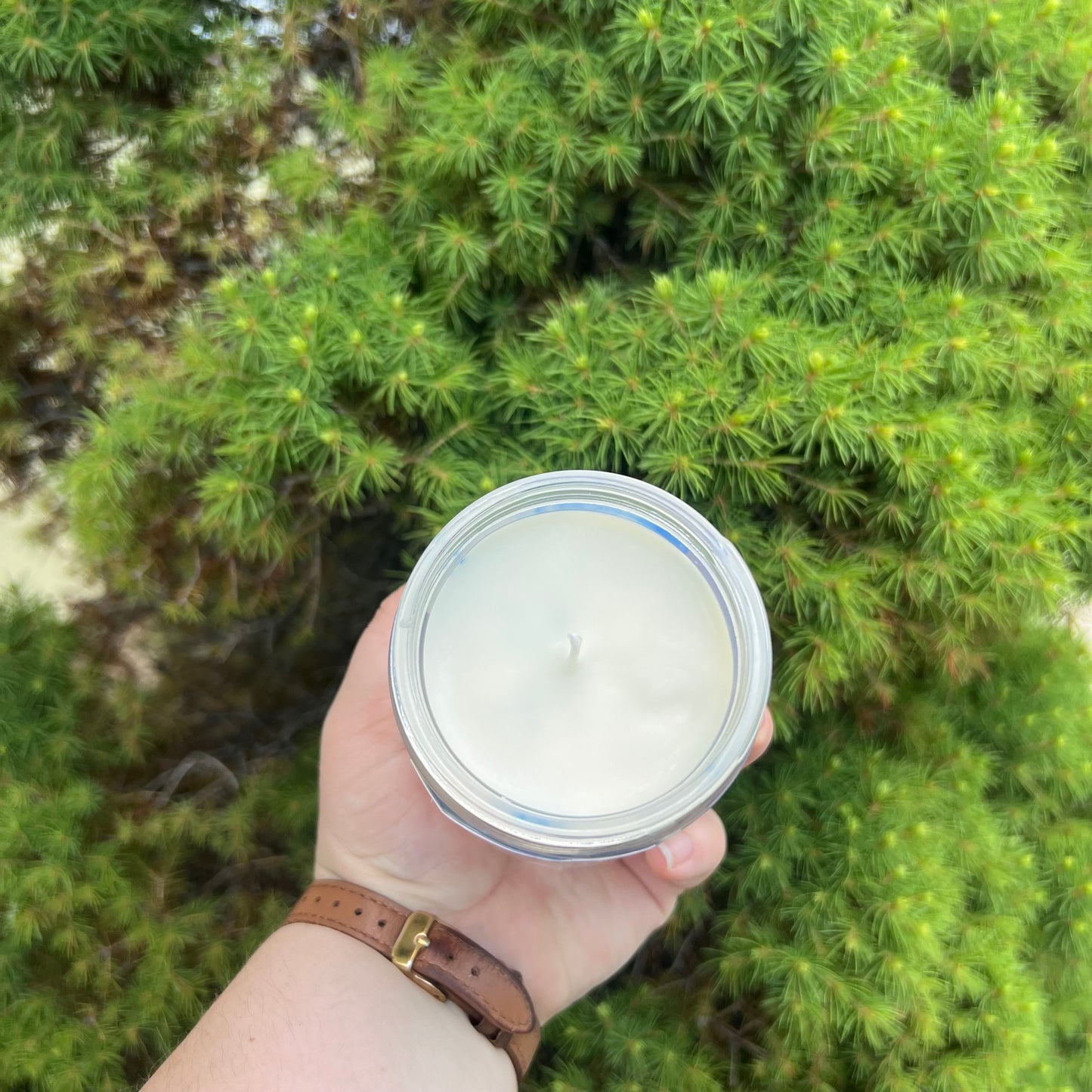 Salt & the Sea Candle | 4 or 8 oz | scented with sea salt & lily | eco-friendly non-toxic