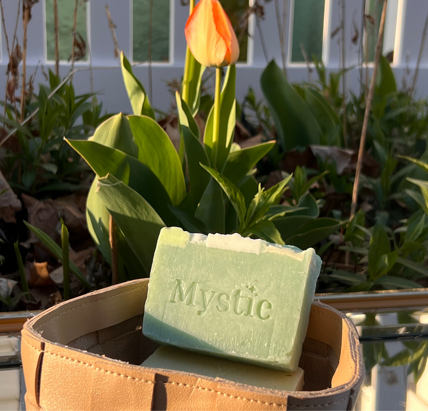 Honey(succulent) Honeysuckle Bar Soap | 5 oz | Eco-friendly nontoxic bar soaps
