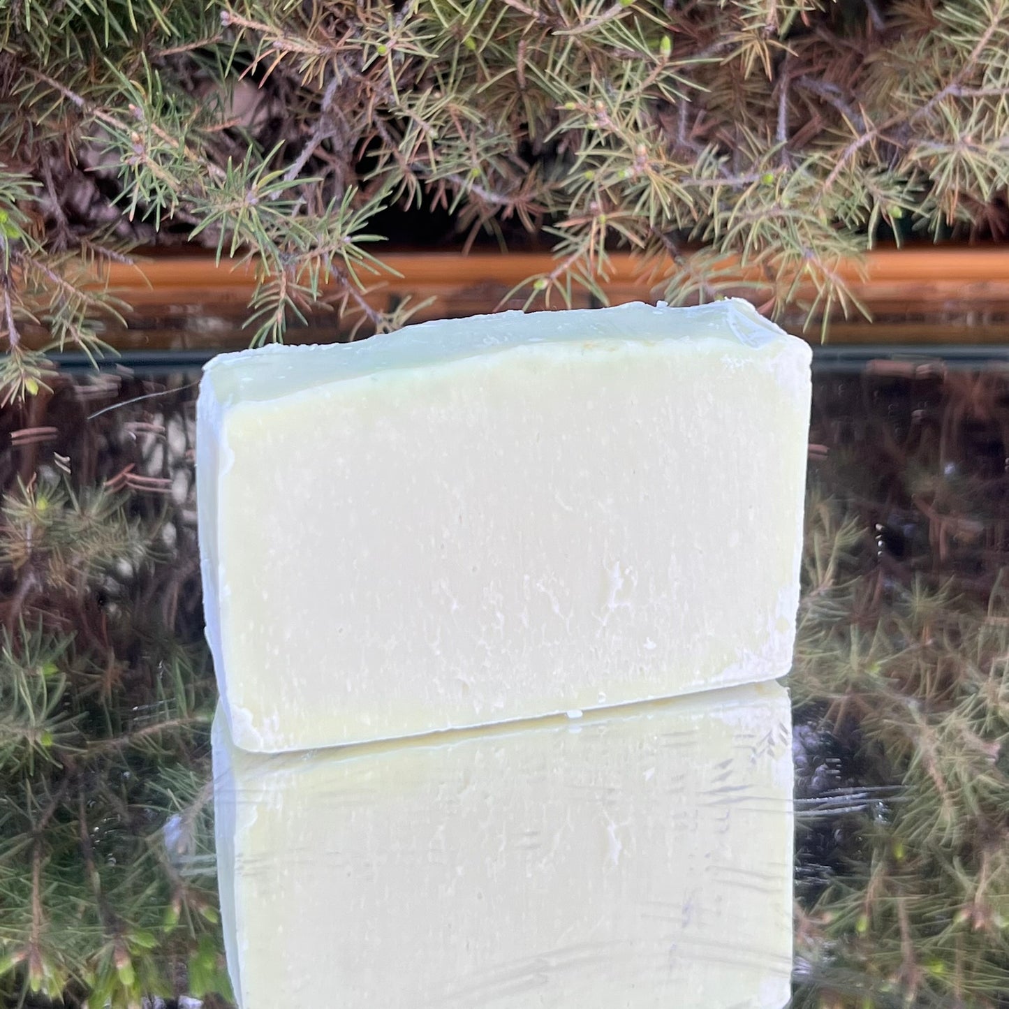 Lemongrass Bar Soap | 5 oz | Eco friendly non toxic