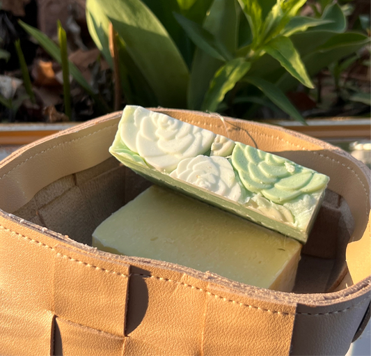 Honey(succulent) Honeysuckle Bar Soap | 5 oz | Eco-friendly nontoxic bar soaps