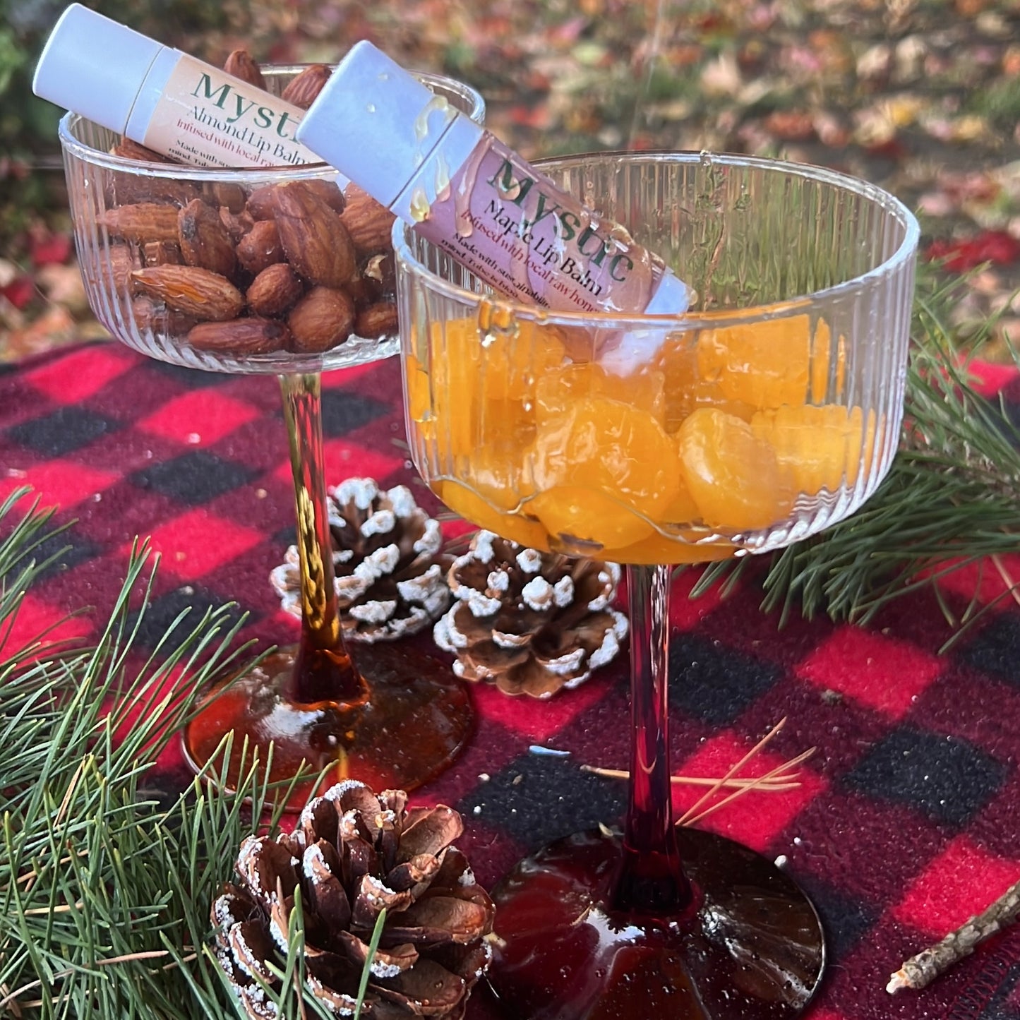 Seasonal Lip Balms | Hidden Tint or Natural | Eco Friendly Non Toxic in compostable push-up tube