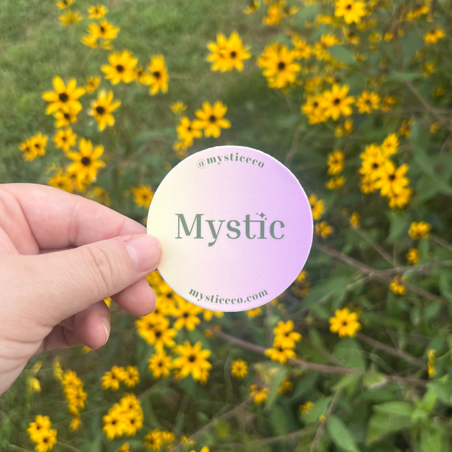 Mystic Eco / Shop Sustainable Stickers
