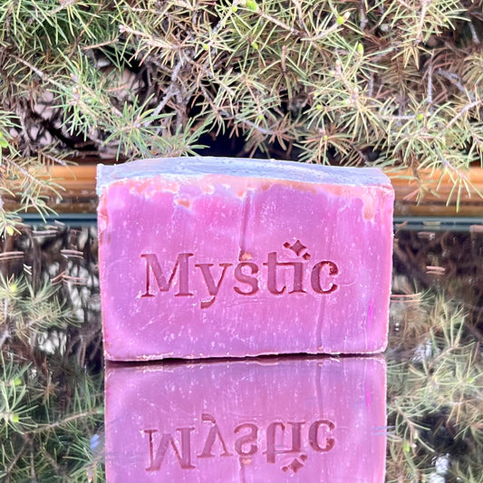 Strawberries & Clove bar soap | 5 oz | Eco friendly non toxic (strawberry, vanilla, clove)