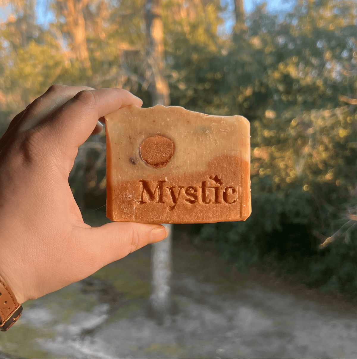 Scenes of the USA Bar Soap Bundle - Mystic Eco